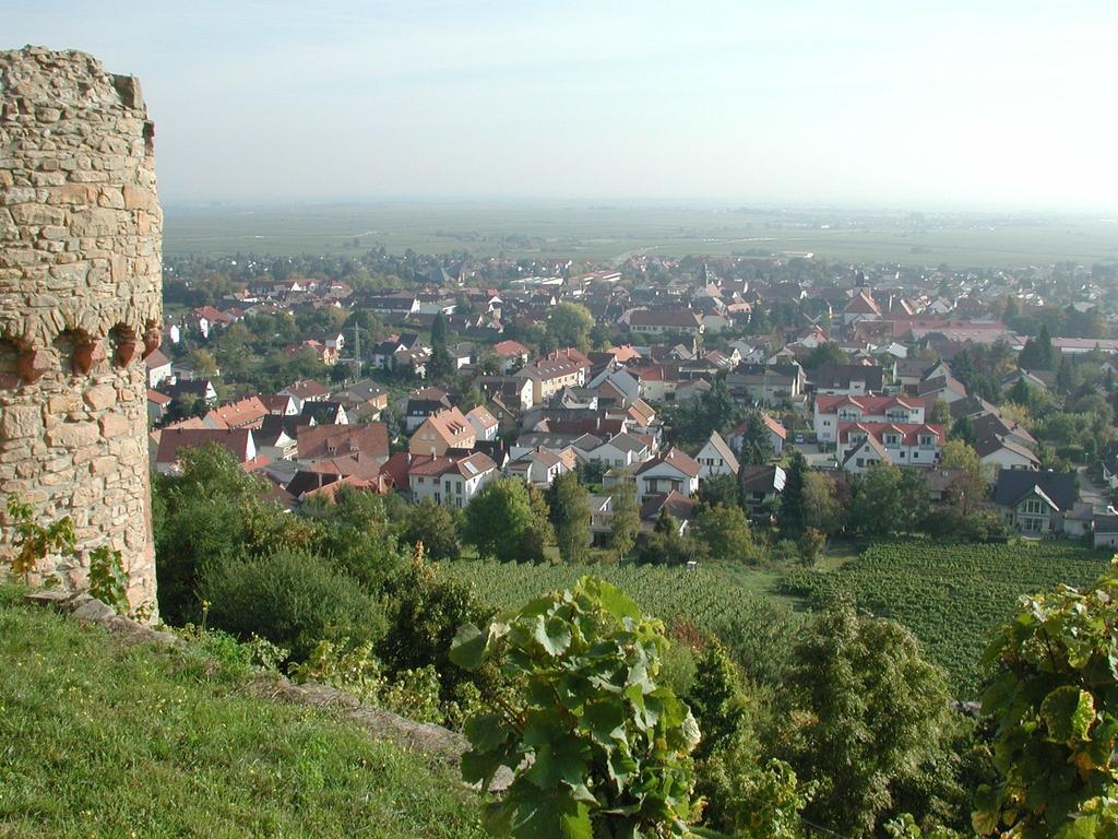 Altstadt-Residenz Manz Wachenheim an der Weinstraße Dış mekan fotoğraf